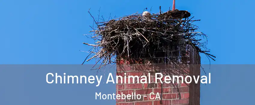 Chimney Animal Removal Montebello - CA