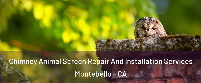  Chimney Animal Screen Repair And Installation Services Montebello - CA