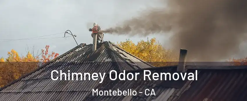  Chimney Odor Removal Montebello - CA